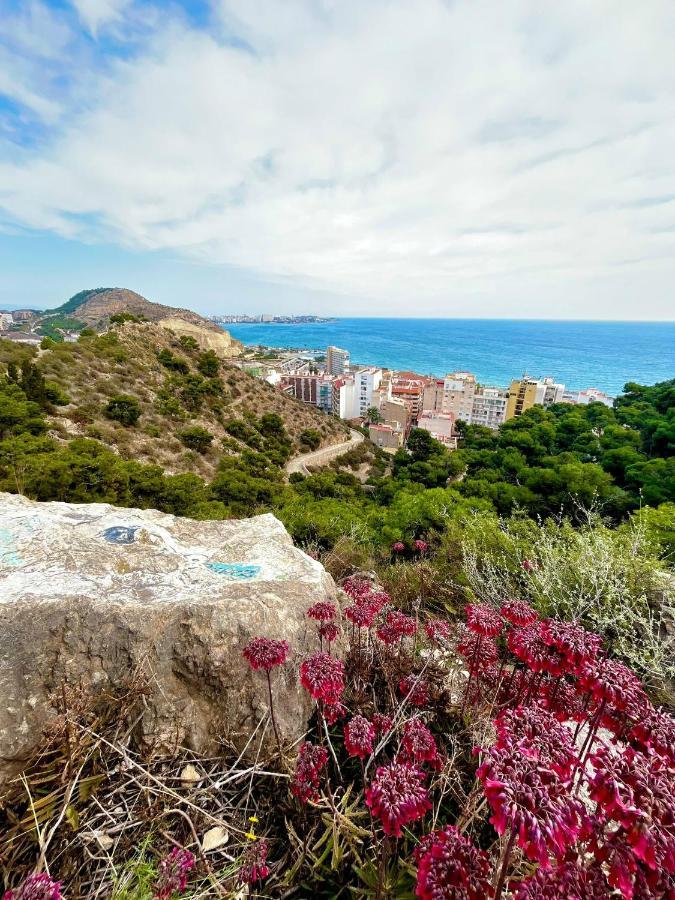 Hanna'S Estudio Deluxe Alicante Exteriér fotografie